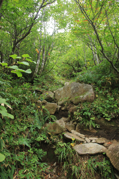 20170916ooasahidake-025.jpg