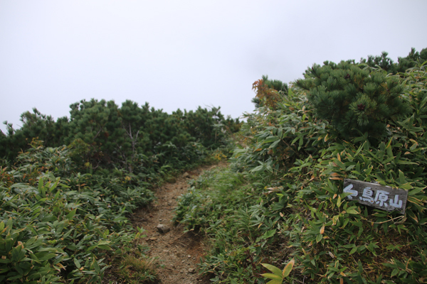 20170916ooasahidake-027.jpg