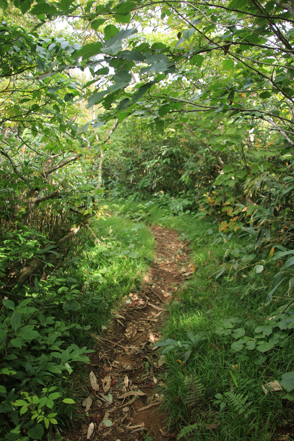 20170916ooasahidake-032.jpg