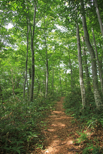 20170916ooasahidake-034.jpg