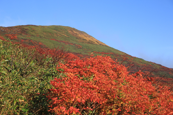 20171012yakeishidake-010.jpg