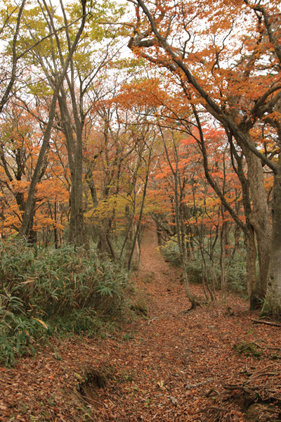 20171028kitaspa-016.jpg