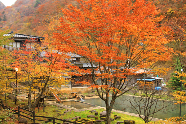20171028kitaspa-019.jpg