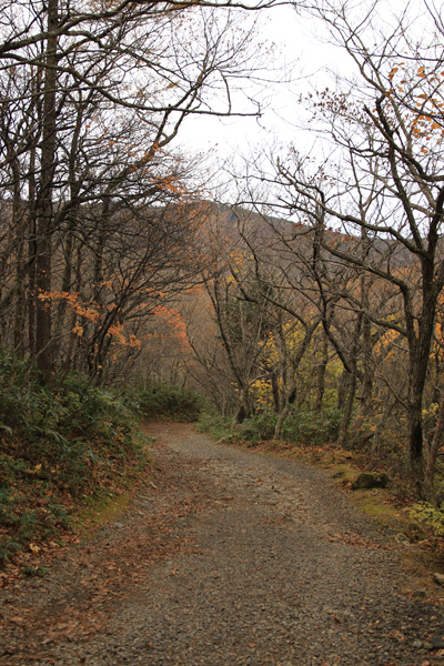 20171102adatarayama-004.jpg