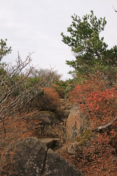 20171102adatarayama-009.jpg