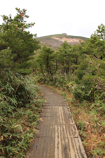 20171102adatarayama-011.jpg