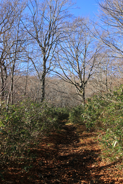 20171121adatara-002.jpg