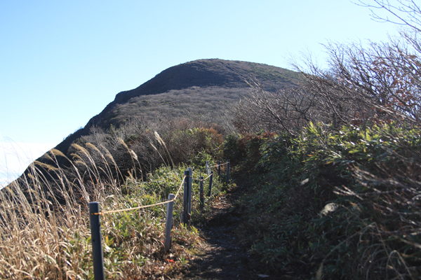 20171121adatara-004.jpg