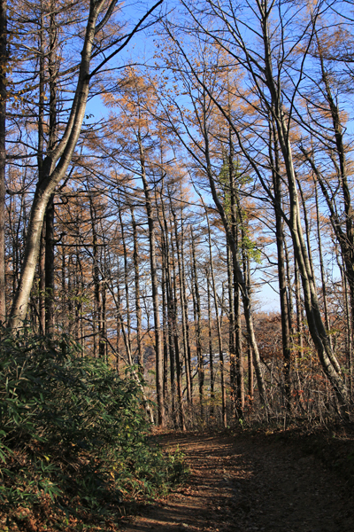 20171121adatara-019.jpg