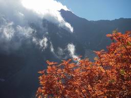 穂高紅葉.jpg