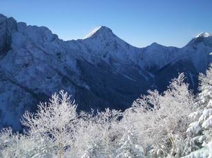 硫黄岳樹氷.jpg