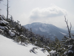 鬻科山から北横岳.jpg