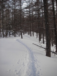 鬻科山トレース.jpg