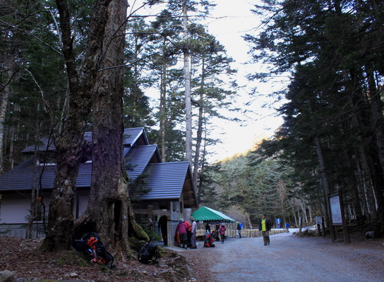 hayakawa20101106-001.jpg