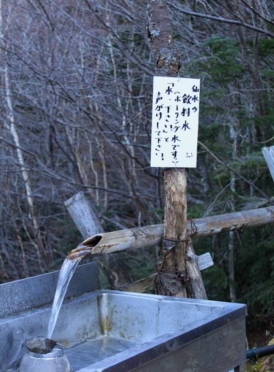 hayakawa20101106-003.jpg