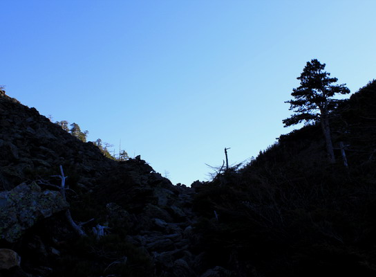 hayakawa20101106-004.jpg