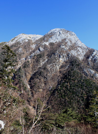hayakawa20101106-005.jpg