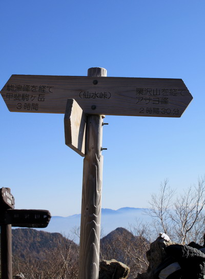 hayakawa20101106-006.jpg