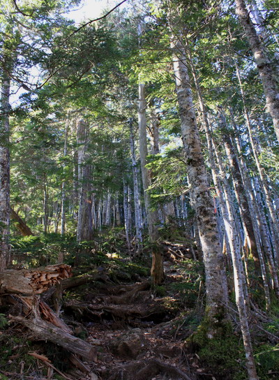 hayakawa20101106-008.jpg