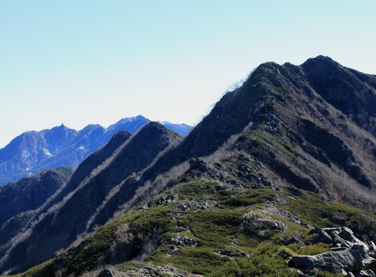 hayakawa20101106-011.jpg