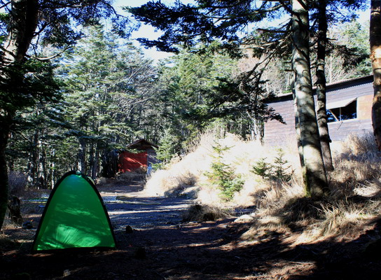 hayakawa20101106-015.jpg