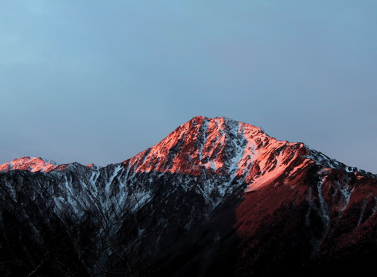 hayakawa20101107-001.jpg