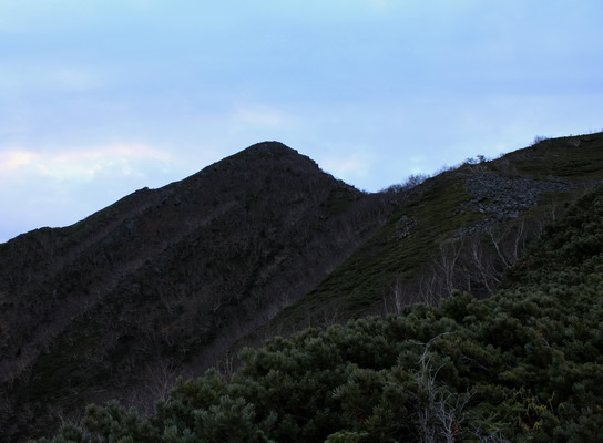 hayakawa20101107-003.jpg