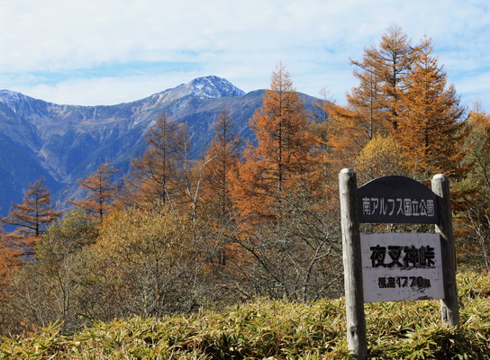 hayakawa20101107-015.jpg
