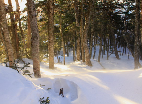 ho20110118-205.jpg