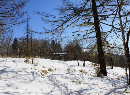 ho20110118-208.jpg