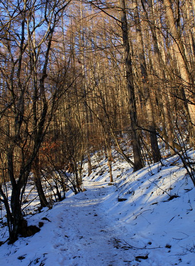 hoo20110118-003.jpg