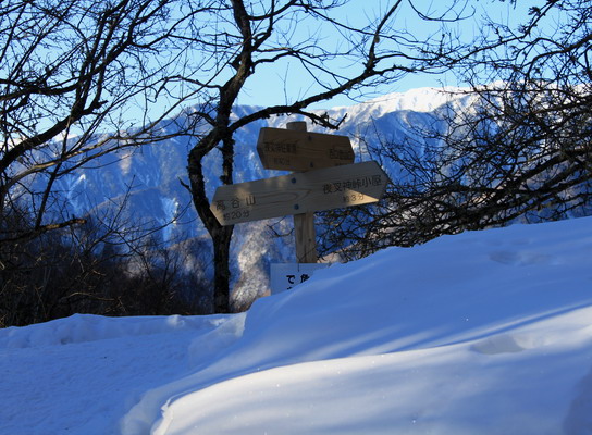 hoo20110118-004.jpg