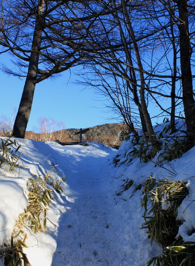 hoo20110118-005.jpg