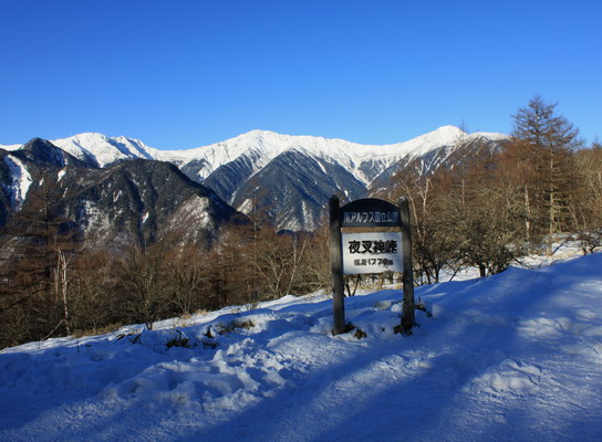 hoo20110118-006.jpg