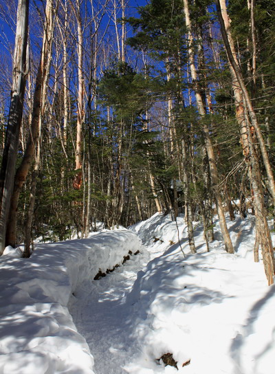 hoo20110118-008.jpg