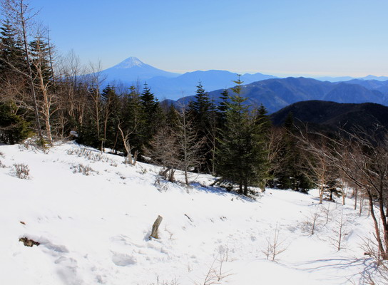 hoo20110118-009.jpg