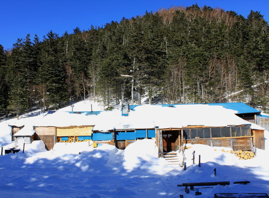 hoo20110118-010.jpg
