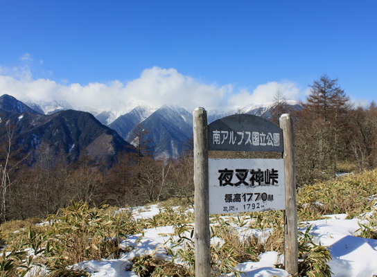 houou20100106-002.jpg