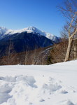 houou20100106-003.jpg