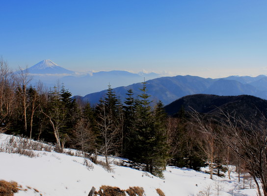 houou20100106-006.jpg