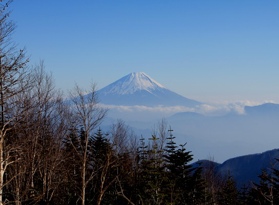 houou20100106-007.jpg