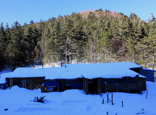 houou20100106-010.jpg