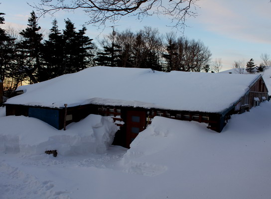 houou20100108-005.jpg