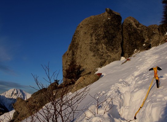 houou20100108-007.jpg