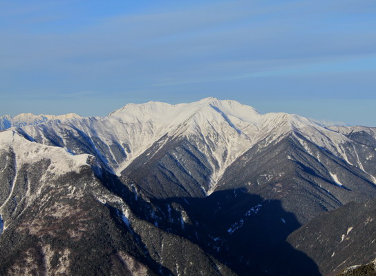 houou20100108-010.jpg