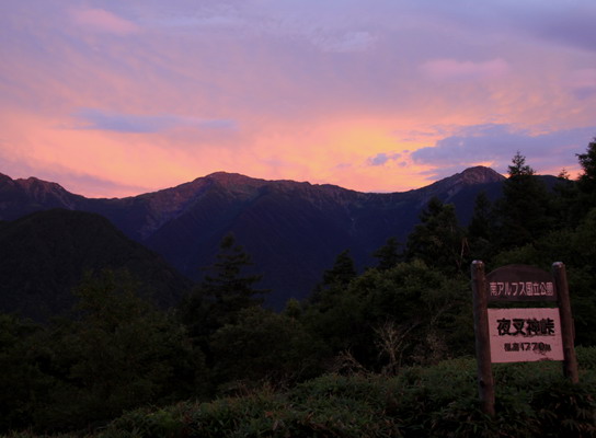 houou20110806-001.jpg