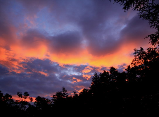 houou20110806-002.jpg