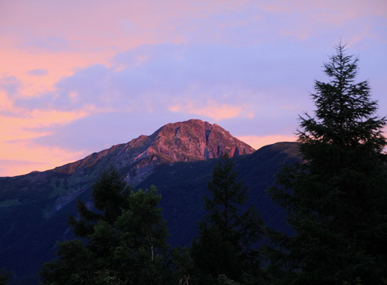 houou20110806-003.jpg