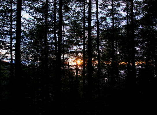 houou20110806-004.jpg