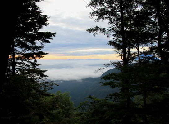 houou20110806-005.jpg